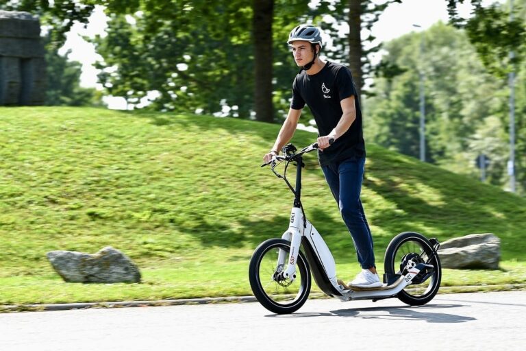 Electric Scooter