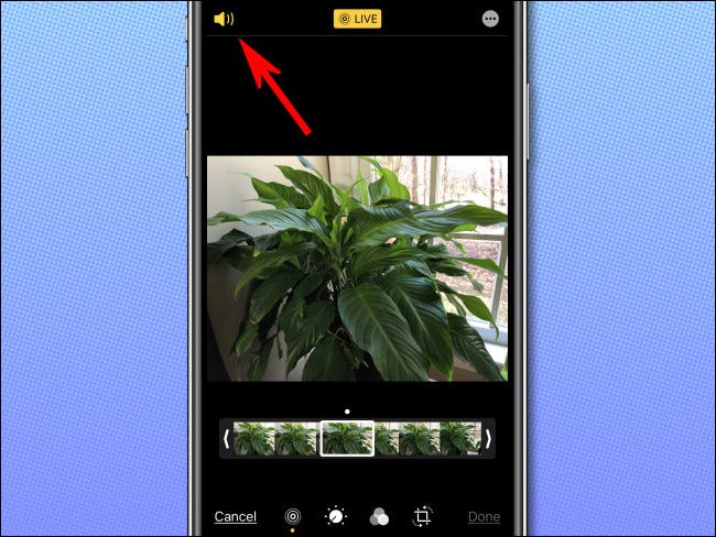 Tap Speaker Icon