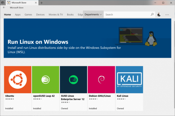 Install Kali Linux Windows 10 WSL 2