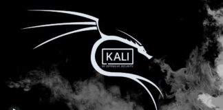 Install Kali Linux Windows 10 WSL 2