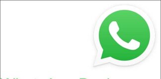 Whatsapp Backup