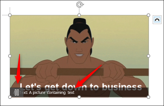 Animated Gif With A Pause Button And Alt Text 1