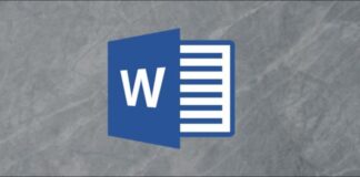 Stock Lede Microsoft Office Word 1