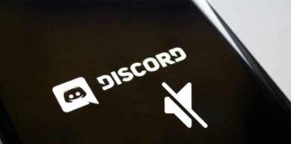 Mute Discord