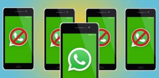 Beta Whatsapp Multi Device