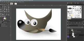 Gimp
