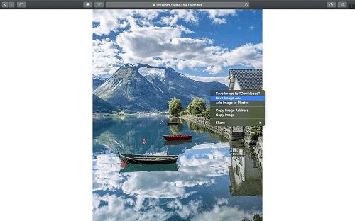 view full-size instagram photos