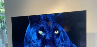 Hisense A9g Oled Tv 2021