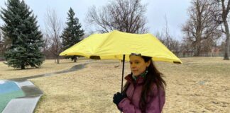 Blunt Metro Umbrella