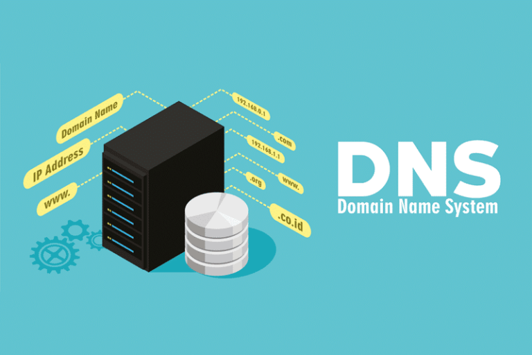 DNS Server Find Out