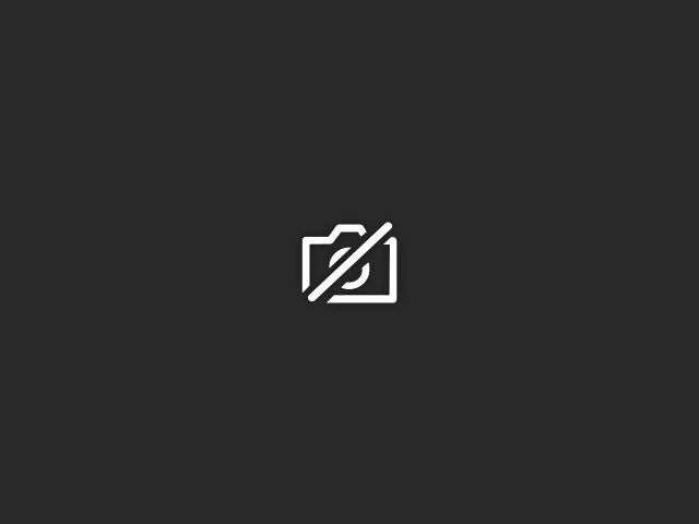 Windows 10 Camera Not Working