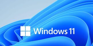 Windows 11