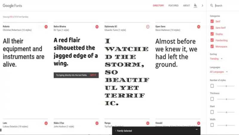 Google Fonts Service