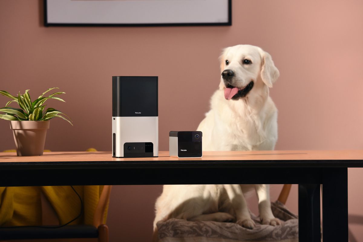 Petcube Bites2 Petcube Play2.0