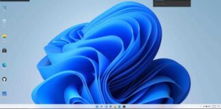 Windows 11 Interface