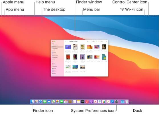 Apple Music App Interface
