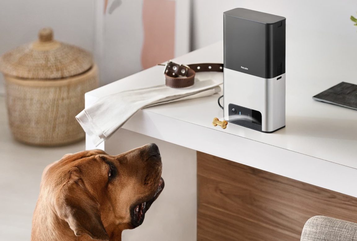 Petcube Bites 2 Review 1152x776