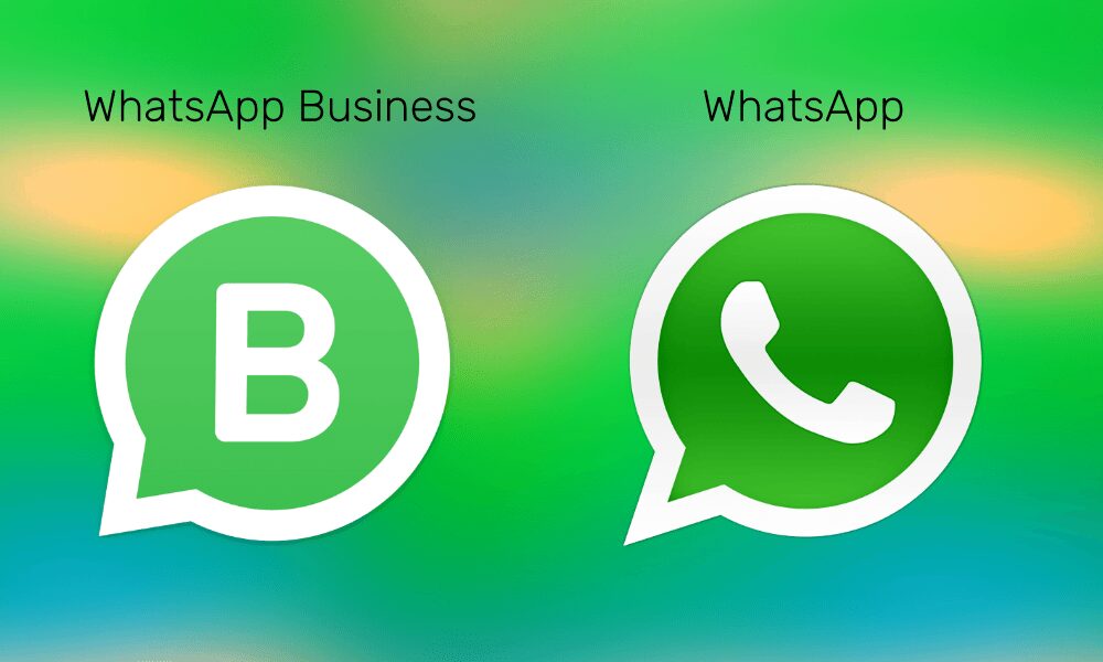 use whatsapp business