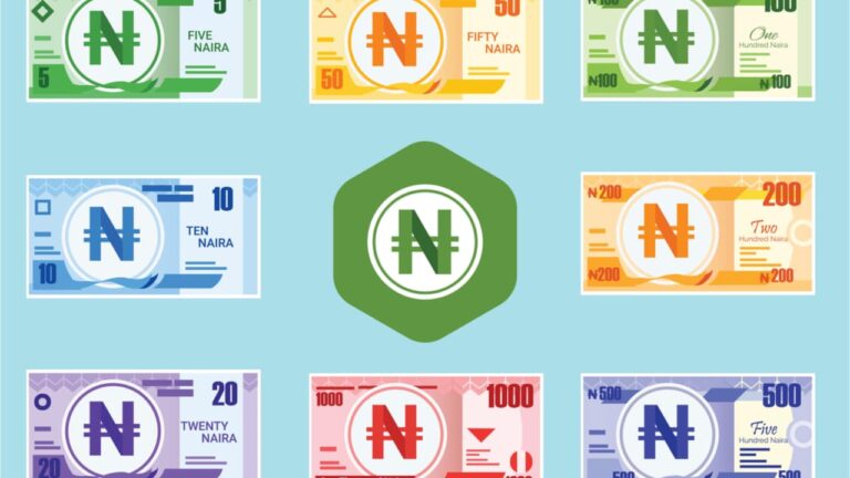 E Naira