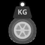 Tire Load Index