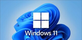 Windows 11 Logo
