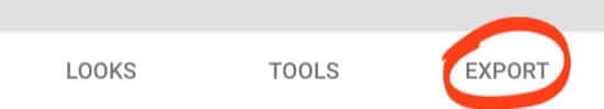 export image on a Snapseed after removing watermark