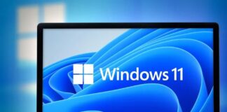 Windows 11
