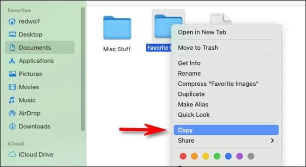 Right Click A File And Select Copy.
