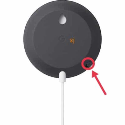 Google Nest Mini Mic Button