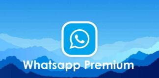 Whatsapp Premium
