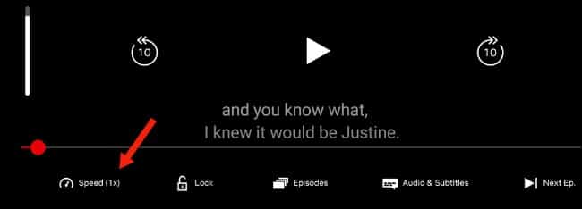 playback controls speed netflix