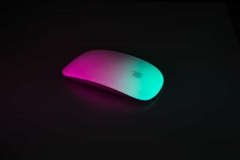 magic mouse